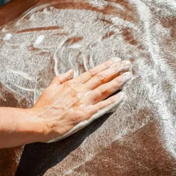 Shampoing Emouchine Protec Ravene