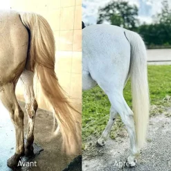 Shampoing Protec Aketus