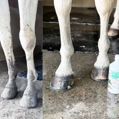 Shampoing Protec Aketus