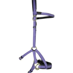 Sidepull Biotack T de T