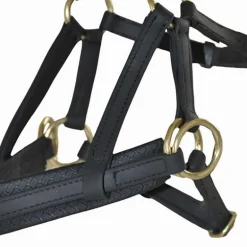 Sidepull Biotack T de T