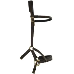 Sidepull Biotack T de T