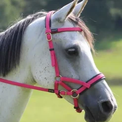 Sidepull Biotack T de T