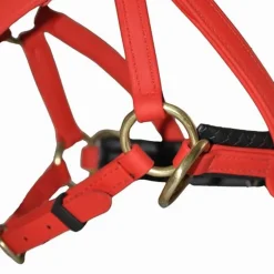 Sidepull Biotack T de T