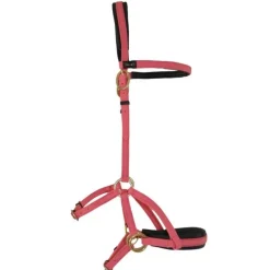 Sidepull Biotack T de T