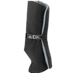 Sous Bandes Anatomic Antérieur Veredus