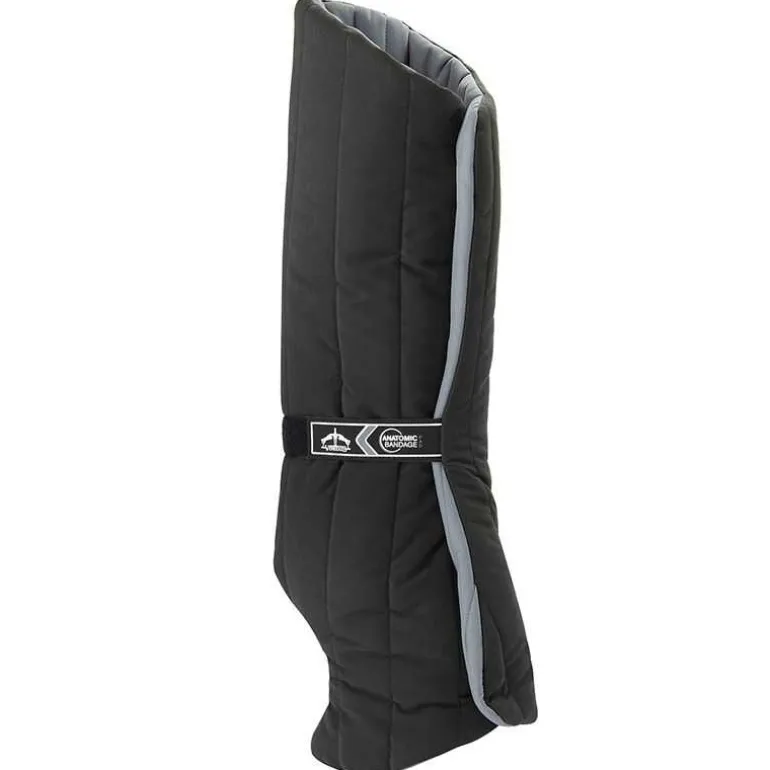 Sous Bandes Anatomic Postérieur Veredus