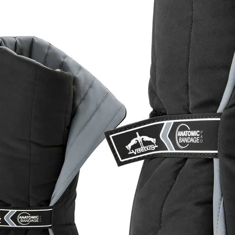 Sous Bandes Anatomic Postérieur Veredus