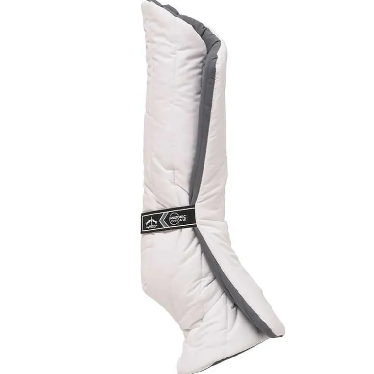 Sous Bandes Anatomic Postérieur Veredus