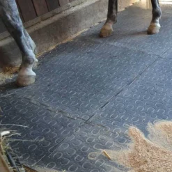 Tapis de box Belmondo Trend