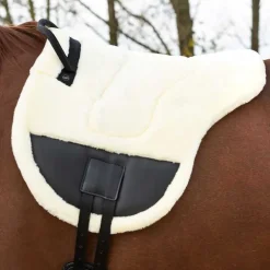 Tapis de monte à cru Ontario