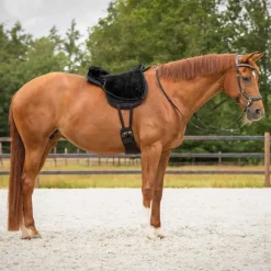 Tapis de monte à cru super soft QHP