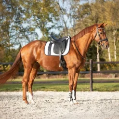 Tapis de Selle Kae QHP