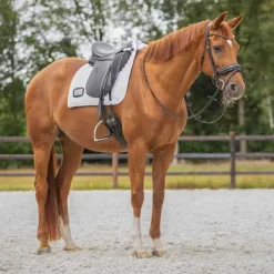 Tapis de selle Numéro QHP