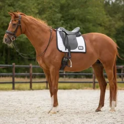 Tapis de selle Numéro QHP