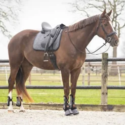 Tapis de selle Sensisoft QHP