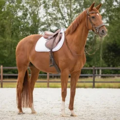 Tapis de selle Sparkle QHP