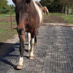 Tapis de sol Belmondo Flix sols naturels