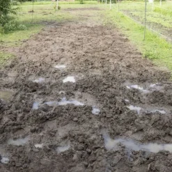 Tapis de sol Belmondo Flix sols naturels