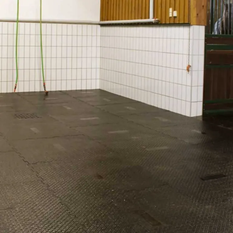 Tapis de sol zones humides Belmondo Paddock