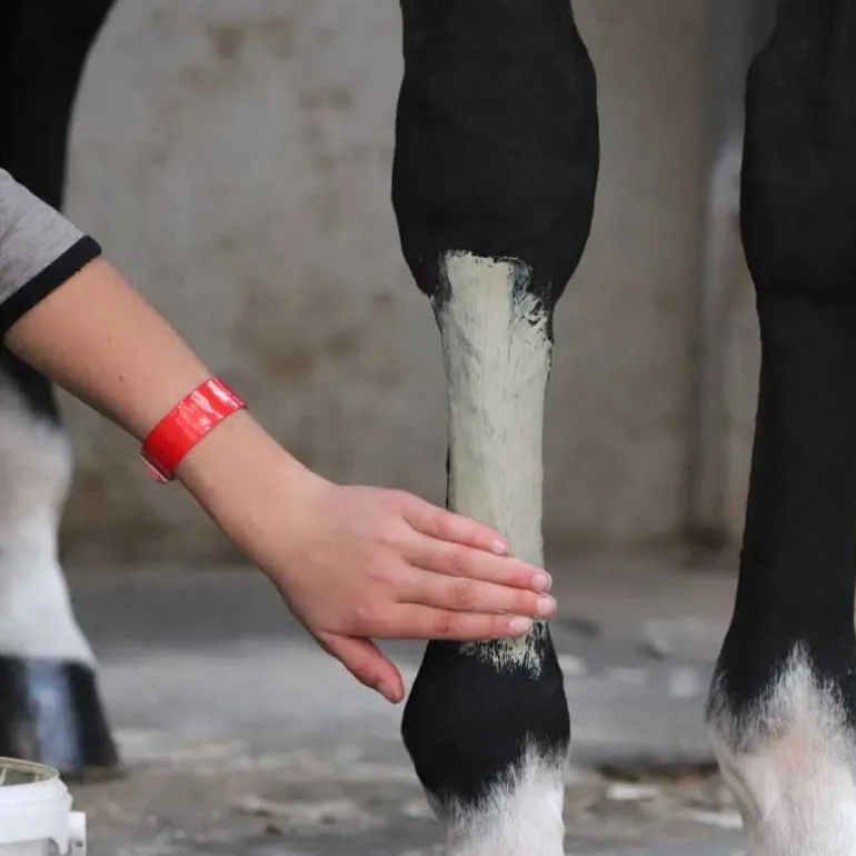 Tend'Argil Laboratoire LPC