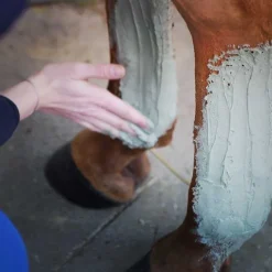 Tendiflex+ Ravene 1,5kg